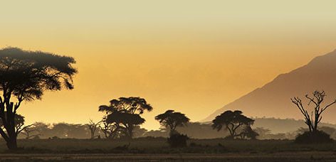 Plaine du Serengeti